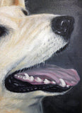 Personalized Oil Painting From Photos, handcraft art on Canvas-Show Case FHE101043-20