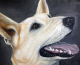 Personalized Oil Painting From Photos, handcraft art on Canvas-Show Case FHE101043-20