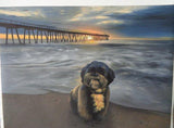 Personalized Oil Painting From Photos, handcraft art on Canvas-Show Case KFA101713-20