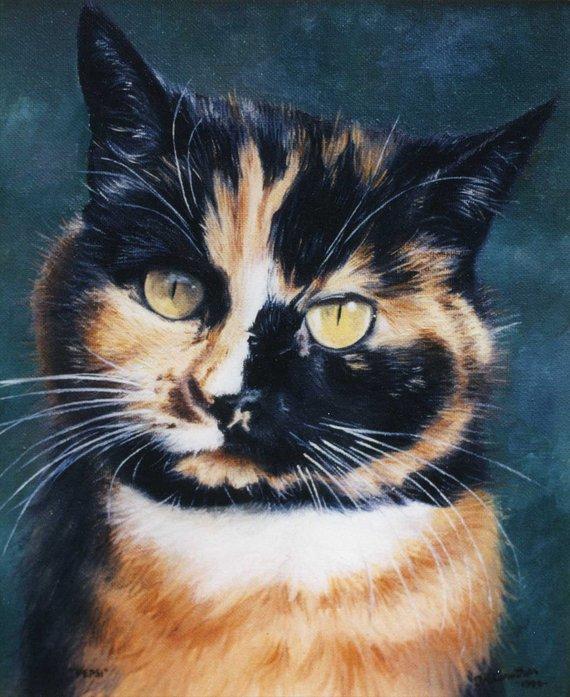 F&S Gift Store Pet portrait custom cat portrait painting - oil painting on canvas. 50% DEPOSIT. Handmade Custom pet portrait.