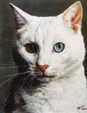 F&S Gift Store Custom cat painting, Cat Portrait, Cat Painting - oil painting on canvas. 50% DEPOSIT. Handmade Custom pet portrait.