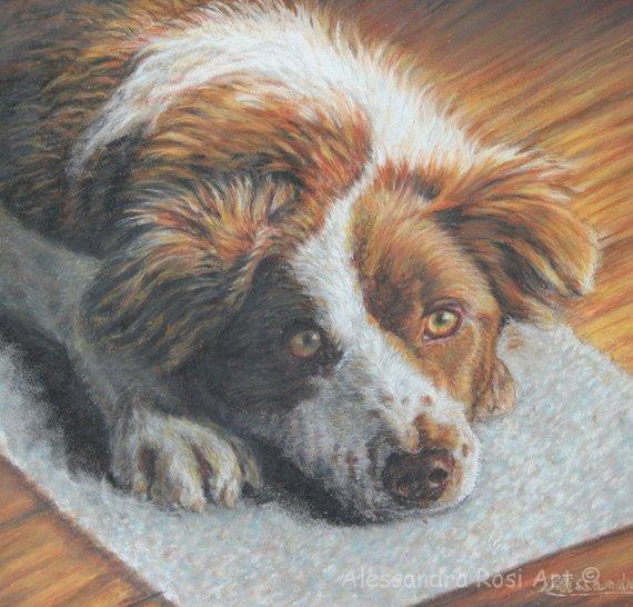 F&S Gift Store Custom Pet Portrait, Oil Pastel Painting, Dog Portrait by Pet Portrait Artist, Custom Dog Art