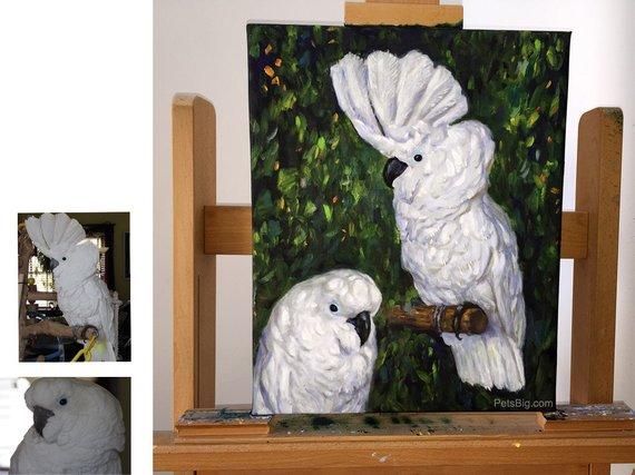 F&S Gift Store Parrot Oil Painting, Custom Pet Portrait - Original Oil Painting Dog Cat Bird from Your Photos - Custom Pet Painting, Top Quality by PetsBig