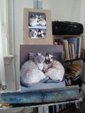 F&S Gift Store SiameseSymmetry, custom Pet Portrait Oil Paintings by puci, 12x12" (2 pets)
