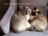 Personalized Oil Painting From Photos, handcraft art on Canvas-Show Case HCJ102499-30