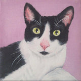 F&S Gift Store custom cat portrait custom pet painting on 10x10 canvas oil and acrylic original from photo tortoiseshell lavender decor
