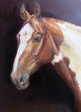 F&S Gift Store Custom HORSE PORTRAIT from photos Large Original oil PAINTING Personalized mamorial Fine Art Animal Art Painting on request Oil on canvas