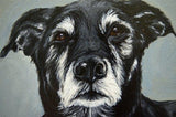 Personalized Oil Painting From Photos, handcraft art on Canvas-Show Case NRG100654-24
