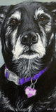 F&S Gift Store custom dog Painting, custom pet portrait, Portrait Commission, Labrador, Retriever Mix, personalized art , Christmas gift idea, 8x10"