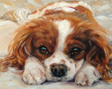 Personalized Oil Painting From Photos, handcraft art on Canvas-Show Case HDM102518-36