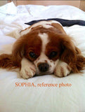 F&S Gift Store Spaniel R&R, Cavalier King Charles, custom oil painting by puci, 8x10"