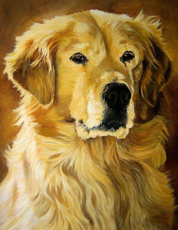 F&S Gift Store Painting Animal Cat portrait Custom Portrait Original handmade oil painting on canvas, Luxury looks, By Chris