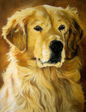 F&S Gift Store pet portrait oil hand painted pet portrait pop art pet painting personalized animal painting, oil on a 12x16 canvas