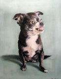 F&S Gift Store Dog Portrait by Professional Award-winning Artist Oil Painting of Your Dog Custom Painted to Order 8 x 10" Realism