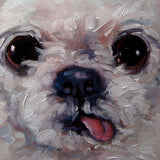 F&S Gift Store That Face! CUSTOM Pet Portrait Oil Paintings by puci