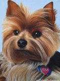 F&S Gift Store Custom Pet Portrait - Cat and Dog Paintings - By Toronto Portrait Artist Malinda Prud'homme