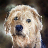 F&S Gift Store Custom Pet Portrait, Custom Pet Painting, Oil Painting Originals, 12x12, Animal Portraits