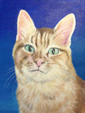 F&S Gift Store custom cat portrait custom pet painting on 10x10 canvas oil and acrylic original from photo tortoiseshell lavender decor