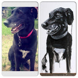 Personalized Oil Painting From Photos, handcraft art on Canvas-Show Case IKH101046-24