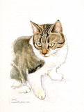 F&S Gift Store CAT PORTRAIT - Custom Watercolour Painting, bespoke animal pet portraiture By Laura Andrew