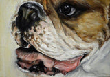 F&S Gift Store Bulldog, custom dog Painting, pet painting, pet portrait, portrait Commission, Dog painting from photo, dog art, personalized pet art, 8x8"