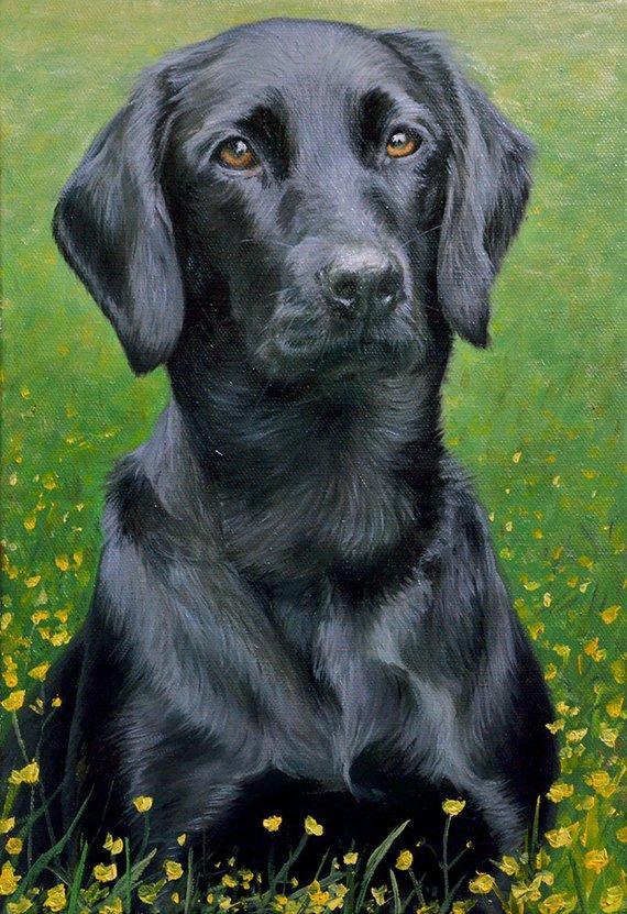 Personalized Oil Painting From Photos, handcraft art on Canvas-Show Case FRK101194-24