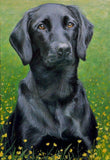 Personalized Oil Painting From Photos, handcraft art on Canvas-Show Case FRK101194-24