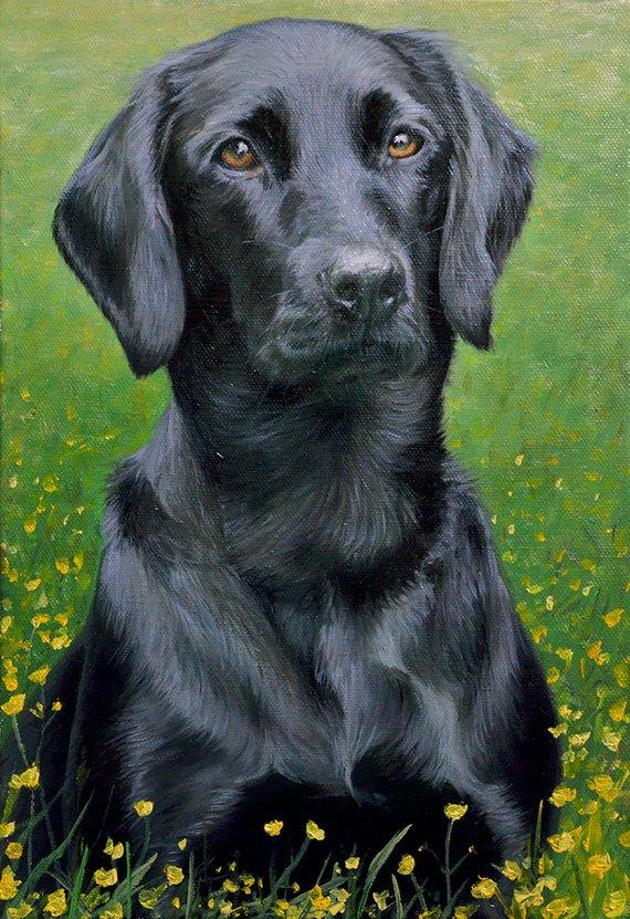 F&S Gift Store Custom pet portrait, Dog portrait, Dog painting, Custom dog portrait, on canvas. 50% DEPOSIT. Handmade.