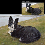 Personalized Oil Painting From Photos, handcraft art on Canvas-Show Case GSL101195-30