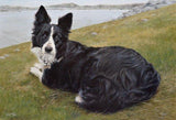 Personalized Oil Painting From Photos, handcraft art on Canvas-Show Case GSL101195-30
