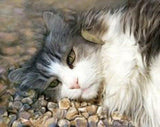 F&S Gift Store Custom cat portrait, realistic pet art, lifelike, hand painted, digital pet painting, on paper, from your photo, cat art, memorial portrait