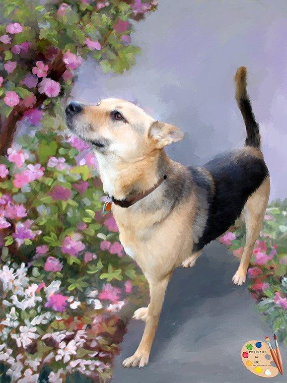 Personalized Oil Painting From Photos, handcraft art on Canvas-Show Case ORK102241-24