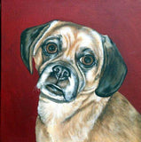 F&S Gift Store Custom Pet Portrait Painting, 12 x 12 inches, Dog or cat oil painting of your pet, Pet keepsake or memorial, animal art size 12 x 12
