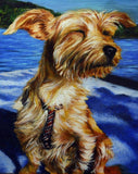 F&S Gift Store dog Painting, custom dog portrait, pet portrait, Pet memorial , Yorkie, Dachshund, mix, Dorkie, personalized pet art, 12x12" Christmas gift