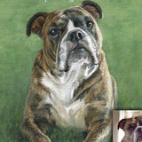 Personalized Oil Painting From Photos, handcraft art on Canvas-Show Case IEB101732-48