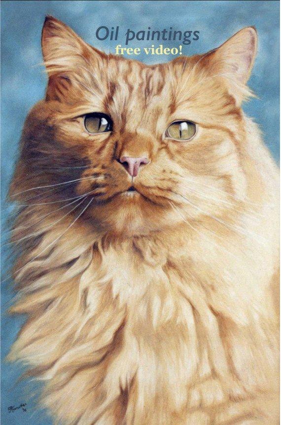 F&S Gift Store Custom Cat portrait, Pet portrait, Cat Painting - oil painting on canvas. 50% DEPOSIT. Handmade Custom pet portrait.