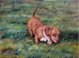 F&S Gift Store Pet portraits from photos - Dog in oil painting