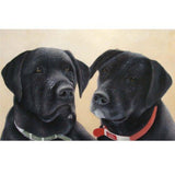 Personalized Oil Painting From Photos, handcraft art on Canvas-Show Case ADI100242-36