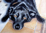 F&S Gift Store Custom pet portrait from a photo, oil painting on canvas, dog portrait or any animal painting, cat art, bird art, furry kids, pet memory