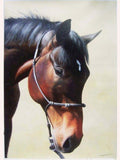 Personalized Oil Painting From Photos, handcraft art on Canvas-Show Case PCR101890-24