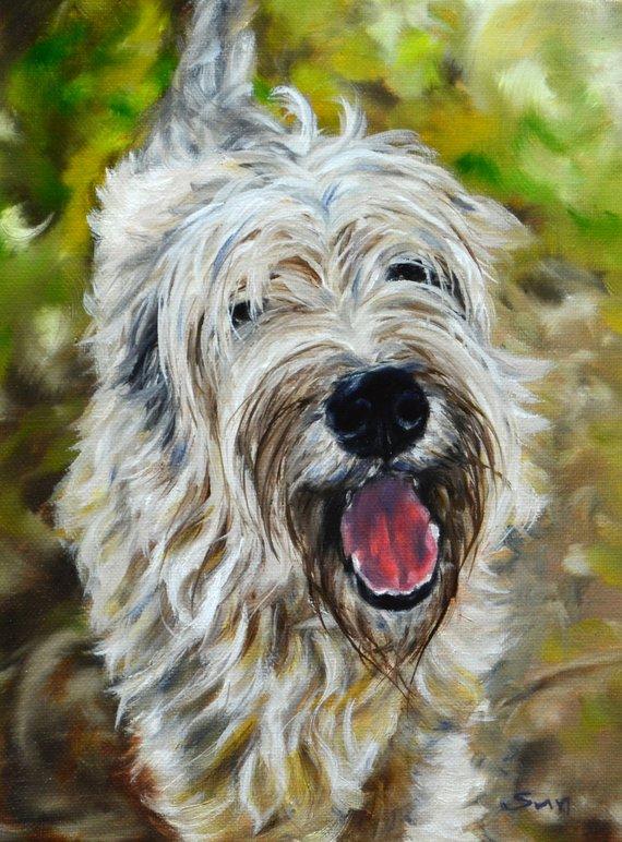 F&S Gift Store wheaten Terrier, custom dog Painting,dog portrait,Christmas gift, pet drawing, custom animal, dog art, pet memorial, personalized art, 9x12