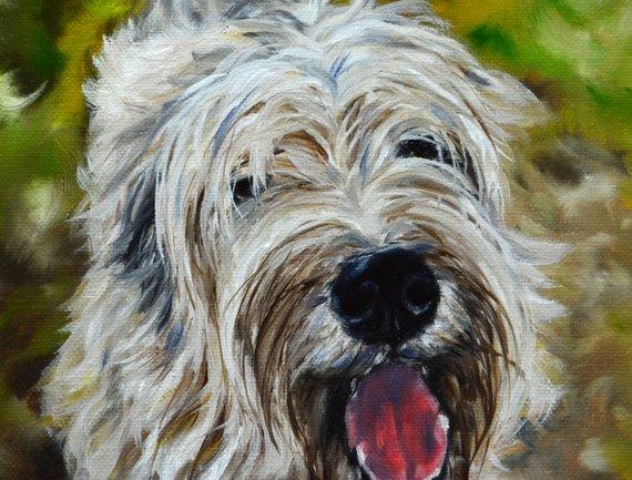 F&S Gift Store wheaten Terrier, custom dog Painting,dog portrait,Christmas gift, pet drawing, custom animal, dog art, pet memorial, personalized art, 9x12