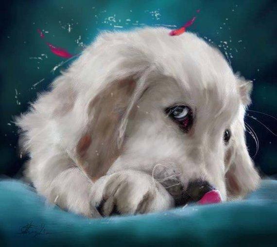 Personalized Oil Painting From Photos, handcraft art on Canvas-Show Case IJE102236-12