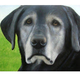 F&S Gift Store Pet Dog Custom Portrait. Custom Oil Portrait. Dog custom painting. Animal custom portrait. Oil painting.Commission dog portrait.7 sizes. USA