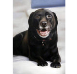 Personalized Oil Painting From Photos, handcraft art on Canvas-Show Case GGO102215-30