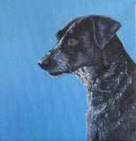 F&S Gift Store Custom pet portrait painting from your photo, oil painting on canvas, dog portrait or any animal, pet painting, cat painting, animal art