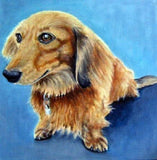 F&S Gift Store Custom dog portrait from a photo, oil painting on canvas, pet portrait or any animal, dog art, cat art, pet memory, animal art, furry kids