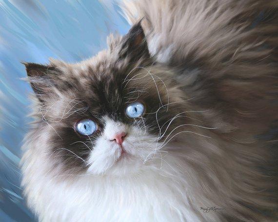 F&S Gift Store Custom cat portrait, realistic pet art, lifelike, hand painted, digital pet painting, on paper, from your photo, cat art, memorial portrait