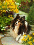 Personalized Oil Painting From Photos, handcraft art on Canvas-Show Case KTG101142-12