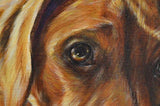 F&S Gift Store Christmas gift idea, rhodesian ridgeback, custom dog Painting, portrait from photo, personalized pet art , best gift Idea, pet memorial
